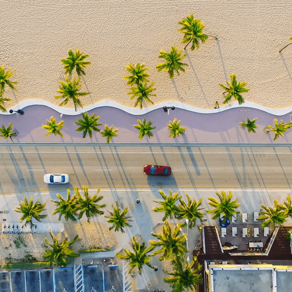Miami Dade cover image.
