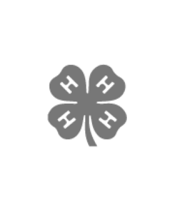 4H logo
