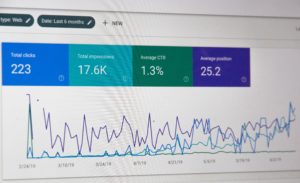 seo expert content marketing